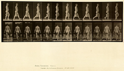 13 - Vol 1 - Plate 30